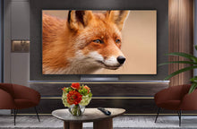 LG C5 65" OLED evo AI 4K HDR Smart TV 2025 - OLED65C54LA - smartappliancesuk