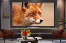 LG OLED77C54LA 77" 4K OLED evo Smart TV | Dolby Vision | SAUK - Smart Appliances UK