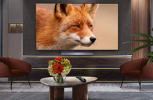 LG OLED55C54LA 55” 4K OLED evo Smart TV - smartappliancesuk