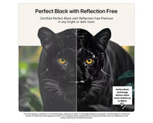 LG OLED55G64LW 55 Inch G6 OLED evo 4K HDR Smart TV - smartappliancesuk